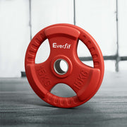 Everfit Weight Plates Olympic 15kg Dumbbell Barbell Plate Weight Lifting Home Gym Red FIT-K-DB-PL-15KG-RD