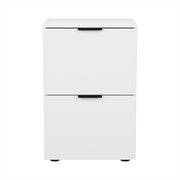 Artiss Filing Cabinet Files Storage Office Shelves File Organiser White 2 Drawer FURNI-B-CAB-2T-WH