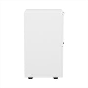 Artiss Filing Cabinet Files Storage Office Shelves File Organiser White 2 Drawer FURNI-B-CAB-2T-WH