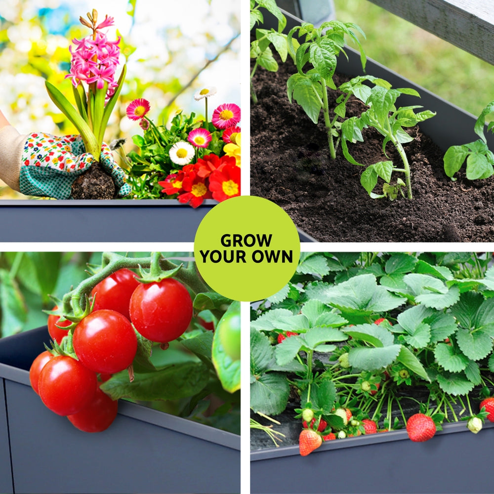 Green Fingers Garden Bed Elevated 100X40X80cm Planter Box Raised Container Herb GARDEN-AG-PLAT-ROLL