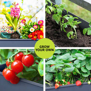 Green Fingers Raised Garden Bed x2 Elevated 100X40X80cm Planter Box Raised Container Herb GARDEN-AG-PLAT-ROLLX2