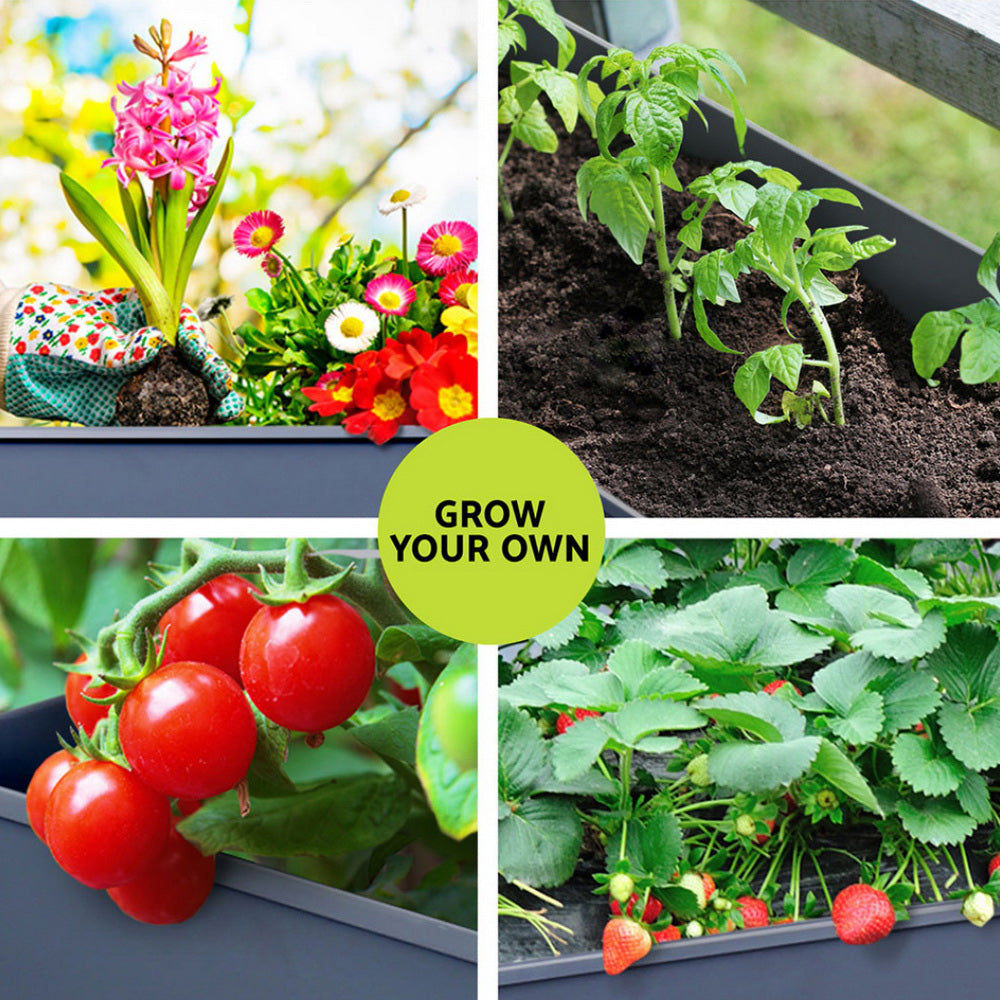 Green Fingers Raised Garden Bed x2 Elevated 100X40X80cm Planter Box Raised Container Herb GARDEN-AG-PLAT-ROLLX2
