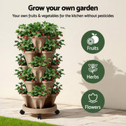 Green Fingers Garden Bed 5 Tier Vertical Garden Grey Strawberry Stackable Planters Herb Petunias Tan GARDEN-PLASTIC-25L-DYE