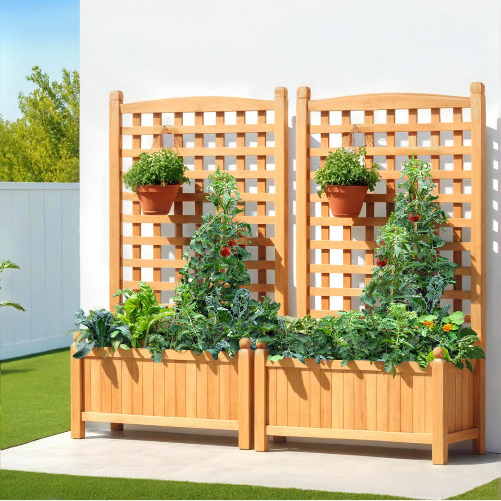 Green Fingers 2X Garden Bed Wooden 64x35x115cm Planter Raised Box Container Trellis GARDEN-WOOD-PANEL-58X2