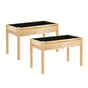 Green Fingers Raised Garden Bed 2x Elevated 120x60x80cm Wooden Planter Box Container GARDEN-WOOD-PLAT-12060X2