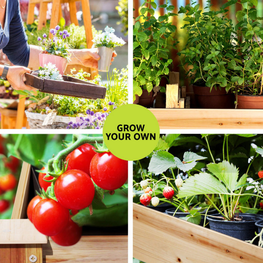 Green Fingers Raised Garden Bed 2x Elevated 120x60x80cm Wooden Planter Box Container GARDEN-WOOD-PLAT-12060X2
