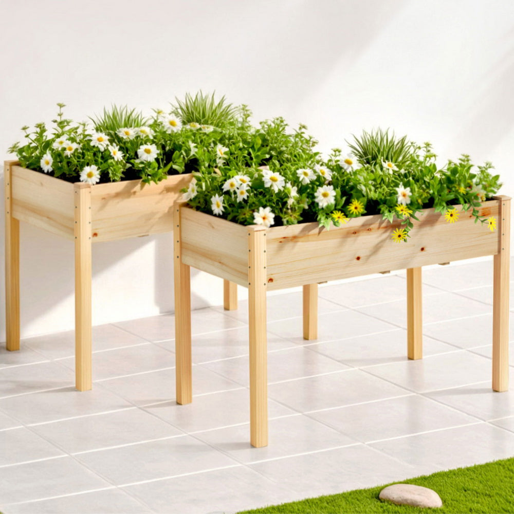 Green Fingers Raised Garden Bed 2x Elevated 120x60x80cm Wooden Planter Box Container GARDEN-WOOD-PLAT-12060X2
