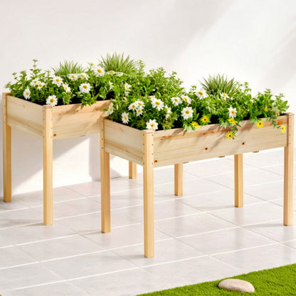 Green Fingers Raised Garden Bed 2x Elevated 120x60x80cm Wooden Planter Box Container GARDEN-WOOD-PLAT-12060X2