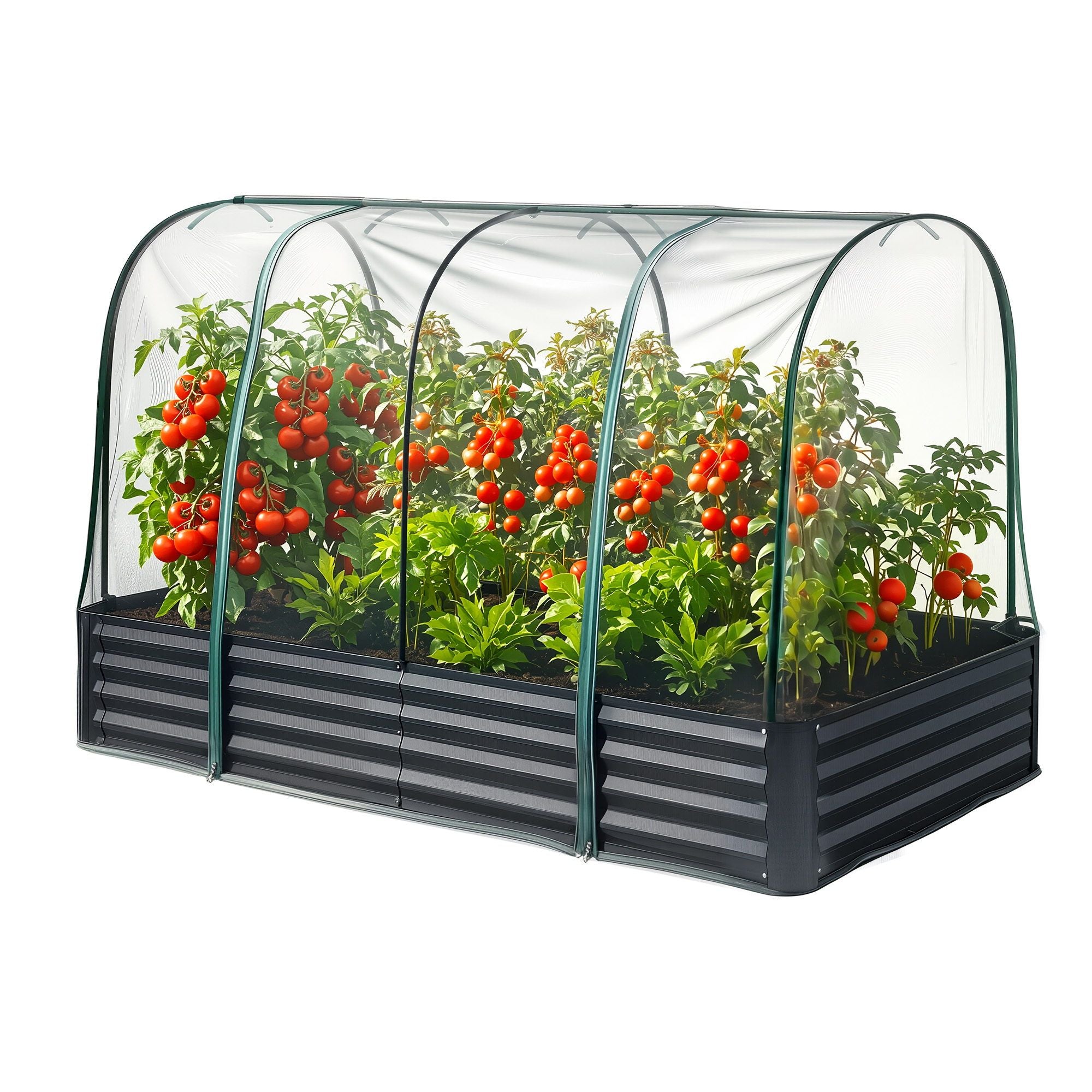 Green Fingers Raised Garden Bed with Mesh Netting Galvanised Planter Box Bird Proof 180x90x120cm GB-REC-GH-180-BK