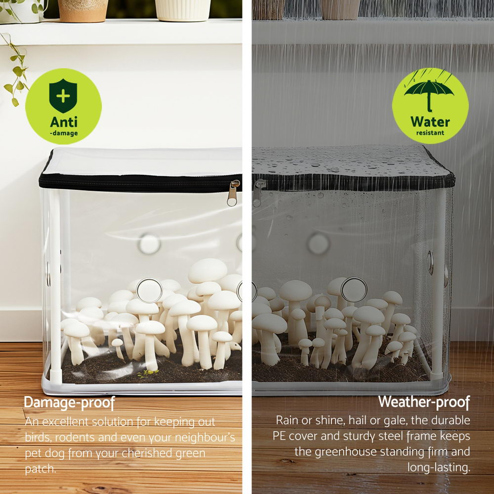 Green Fingers Mini Greenhouse 50x25x25cm PVC Cover for Mushrooms Succulents GH-MINI-F-50X25-TP