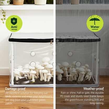 Green Fingers Mini Greenhouse 50x25x25cm PVC Cover for Mushrooms Succulents GH-MINI-F-50X25-TP