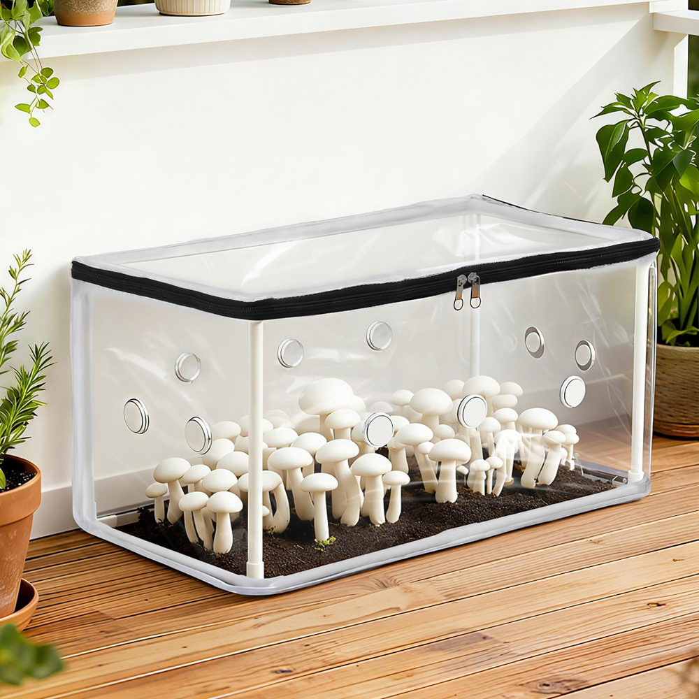 Green Fingers Mini Greenhouse 50x25x25cm PVC Cover for Mushrooms Succulents GH-MINI-F-50X25-TP