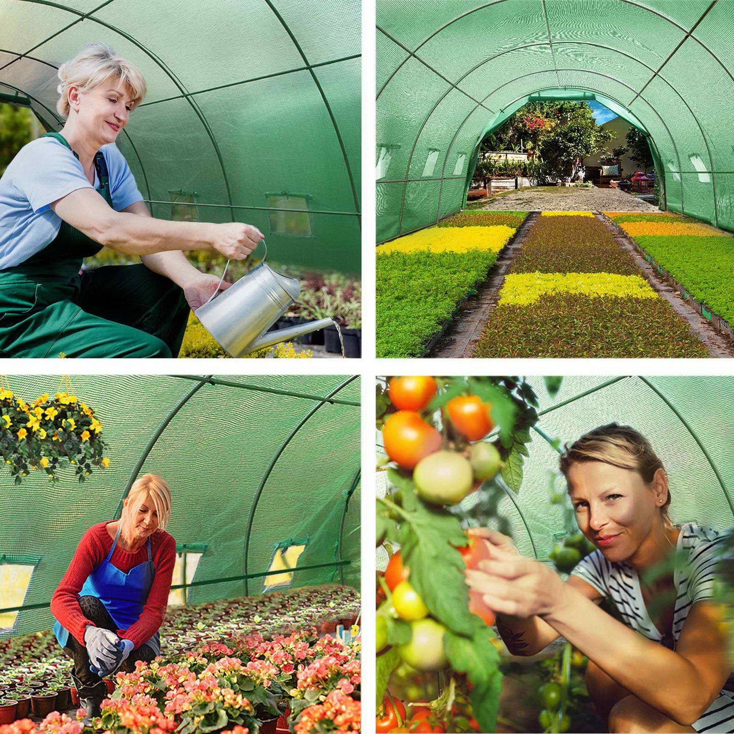 Green Fingers Greenhouse 6x3x2M Walk in Green House Tunnel Plant Garden Shed Dome GH-POLY-E-60X30-GR-D-AB