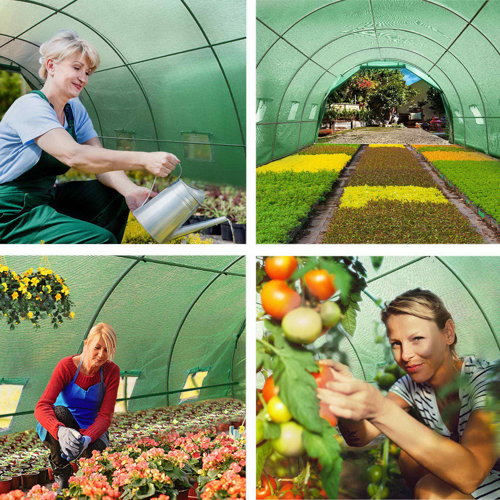 Green Fingers Greenhouse 6x3x2M Walk in Green House Tunnel Plant Garden Shed Dome GH-POLY-E-60X30-GR-D-AB
