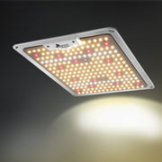 Green Fingers Max 1000W Grow Light LED Full Spectrum Indoor Plant All Stage Growth GL-BOARD-100-NDIM
