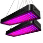 Green Fingers 2X 2000W Grow Lights LED Full Spectrum Indoor Plant All Stage Growth GL-NM-3T-2000X2