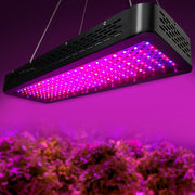 Green Fingers 2X 2000W Grow Lights LED Full Spectrum Indoor Plant All Stage Growth GL-NM-3T-2000X2