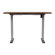 Artiss Standing Desk Motorised 120CM Rustic Brown HASD-114G-GYDF-RBDB-120