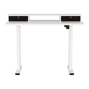 Artiss Electric Standing Desk with Storage Shelf Drawer Office Table 120CM HASD-114G-WHDF-HDR-120