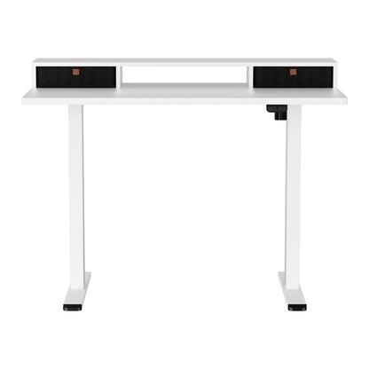 Artiss Electric Standing Desk with Storage Shelf Drawer Office Table 120CM HASD-114G-WHDF-HDR-120