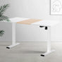 Artiss Electric Standing Desk Sit Stand Desks 140CM HASD-114G-WHDF-NWDB-140