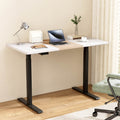 Artiss Standing Desk Motorised Electric Dual Motor 120CM HASD-268-BKDF-NWDB-120