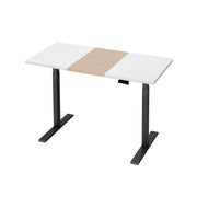 Artiss Standing Desk Motorised Electric Dual Motor 120CM HASD-268-BKDF-NWDB-120