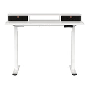 Artiss Electric Standing Desk Dual Motor Office Table With Shelf Drawer120CM HASD-268-WHDF-HDR-120
