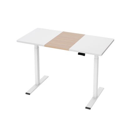 Artiss Standing Desk Motorised Dual Motor 120CM HASD-268-WHDF-NWDB-120