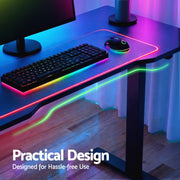 Artiss Electric Gaming Desk RGB Sit Stand Height Adjustable Table Black HASD-B-GMD06-BK