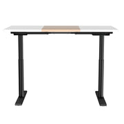 Artiss Standing Desk Motorised Electric Dual Motor 120CM HASD-B-M10-BKDF-NWDB-120