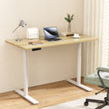 Artiss Standing Desk Motorised Electric Dual Motor 120CM White Oak HASD-B-M10-WHDF-NTDB-120