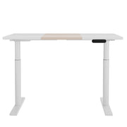 Artiss Standing Desk Motorised Electric Dual Motor Splice White Pine 120CM HASD-B-M10-WHDF-NWDB-120