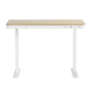 Artiss Standing Desk Motorised Electric Dual Motor Draw 120CM Oak HASD-B-S08-NW