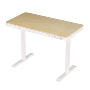 Artiss Standing Desk Motorised Electric Dual Motor Draw 120CM Oak HASD-B-S08-NW