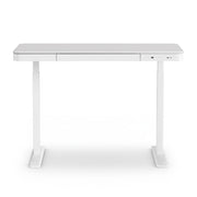 Artiss Standing Desk Motorised Electric Desks Drawer 120CM White HASD-B-S08-WH