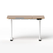 Artiss Electric Standing Desk Height Adjustable Sit Stand Desk Tilting Top HASD-CD105-WD-AB