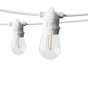 41M LED Festoon Light Outdoor String Light Christmas Wedding Party Decorations LIGHT-WC-B-S14-40-WW