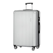 Wanderlite 28-inch Luggage Set with TSA LockABS Hard Shell Travel Suitcase Organiser Luggage Case Light Grey LUG-ABS-VG-28-LG