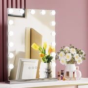 Embellir Makeup Mirror 43x61cm Hollywood Vanity with LED Light Tabletop Wall MM-FRAMELS-4361-GS