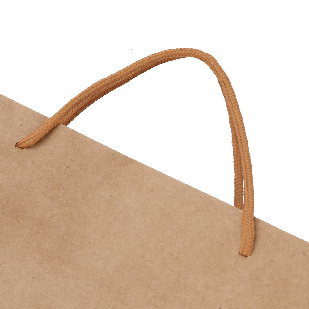 100pcs Bulk Kraft Paper Bags Pack Brown Shopping Retail Gift Bags Reusable Brown PB-100-F-BR