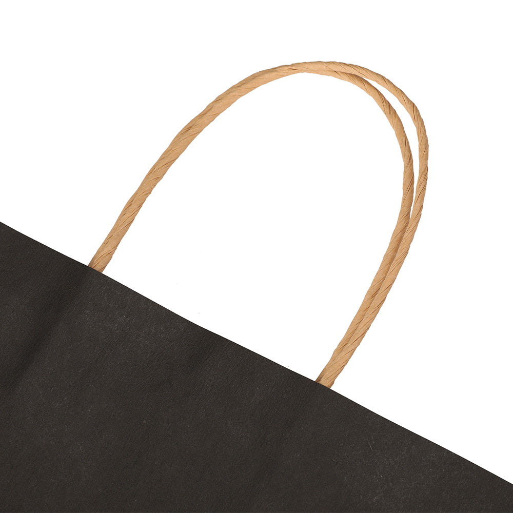 50pcs Bulk Paper Bags Pack Shopping Retail Gift Bags Reusable Soft Handle Black PB-50-P-BK