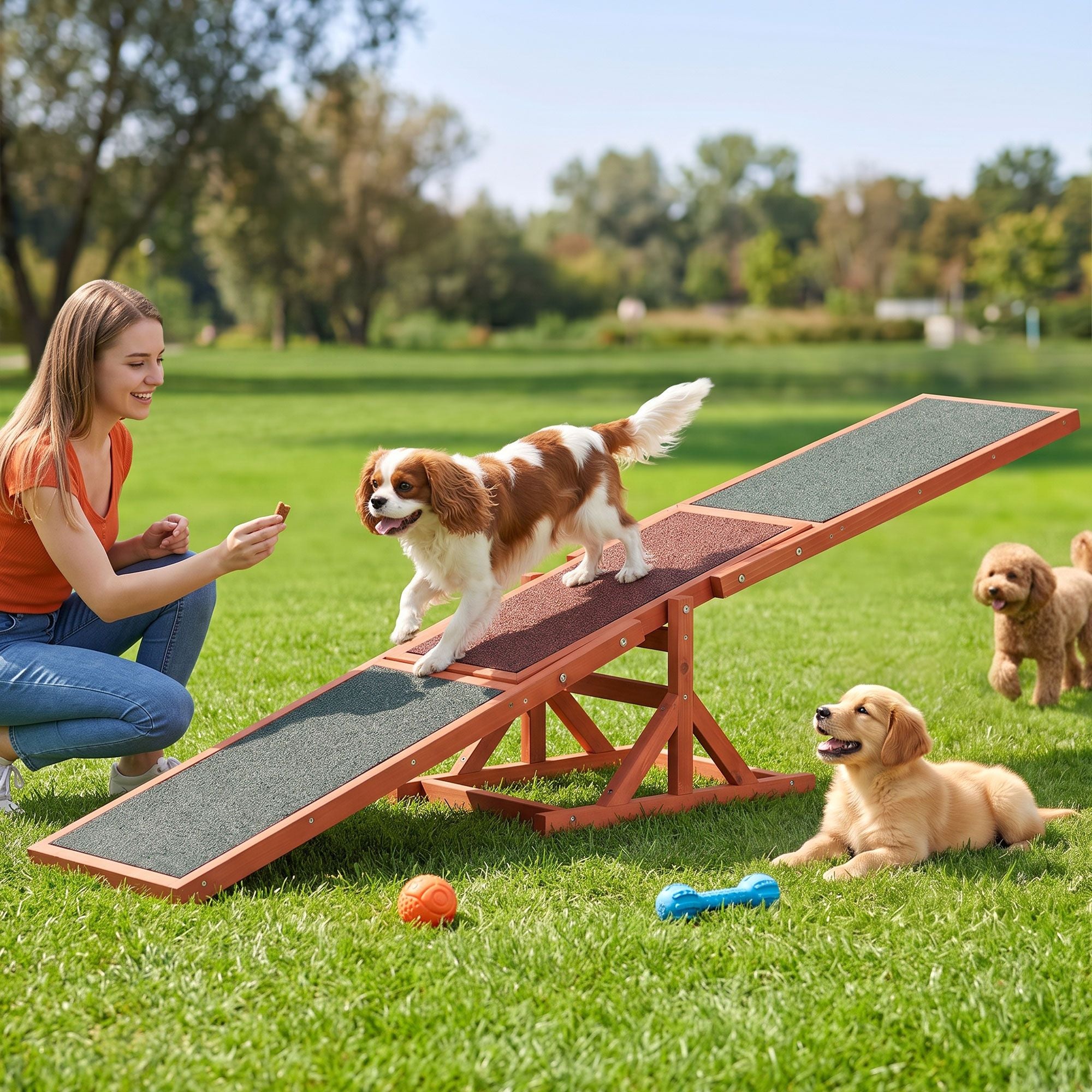 i.Pet Dog Agility Equipment Pet Seesaw Obedience Training Puppy Obstacle Outdoor Play 180cm