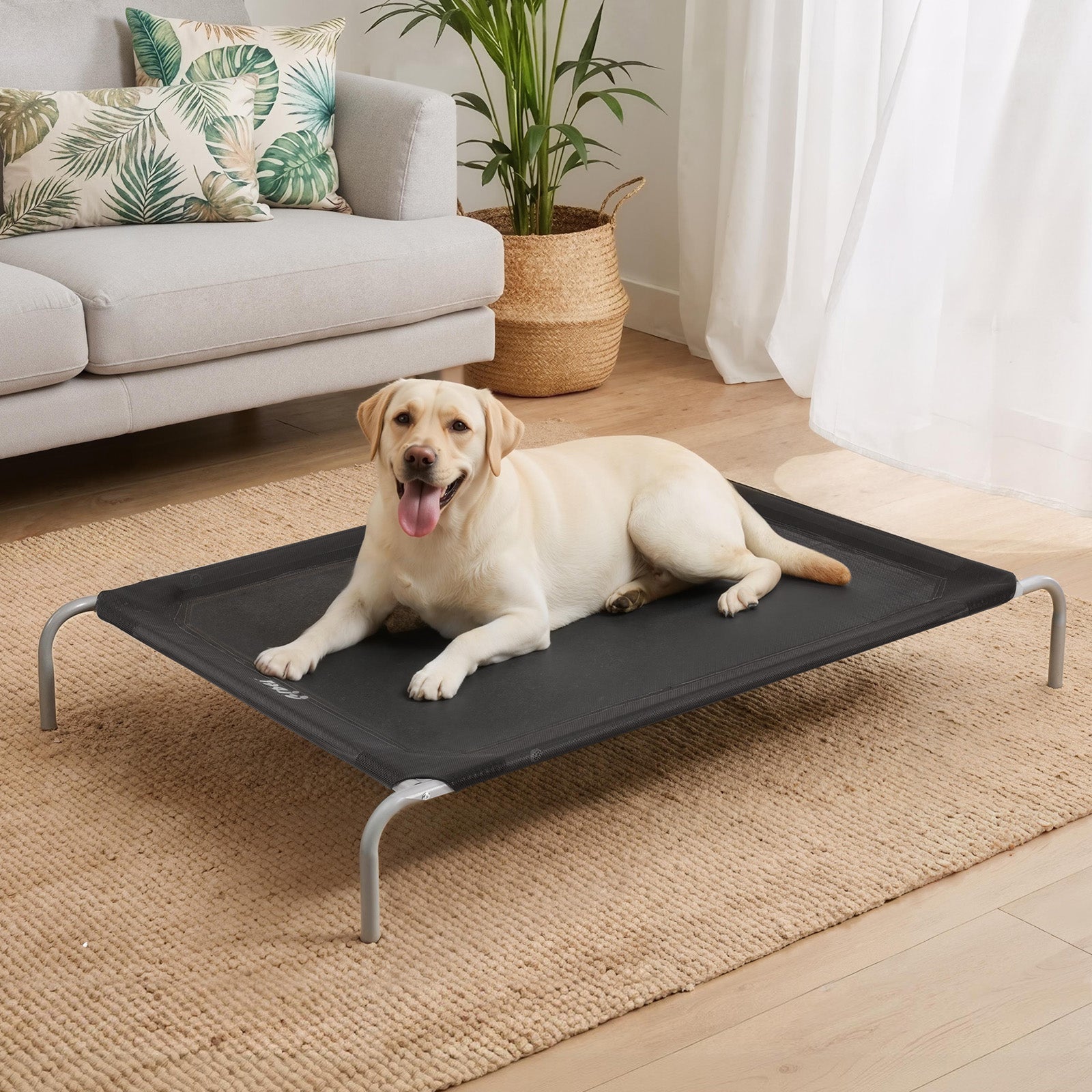 i.Pet Pet Dog Bed Elevated Trampoline Durable Raised Heavy Duty Large Dogs 90x137cm Black PET-BED-ET-XXL137-BK