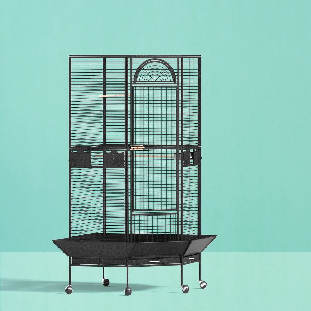 i.Pet Bird Cage Large Jumbo Aviary Budgie Perch Cage Parrot Stand Wheels Corner PET-BIRDCAGE-H161-BK-AB