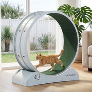 i.Pet Cat Exercise Wheel Treadmill Indoor 78cm Blue & Green PET-CEW-D85-PLS-GR
