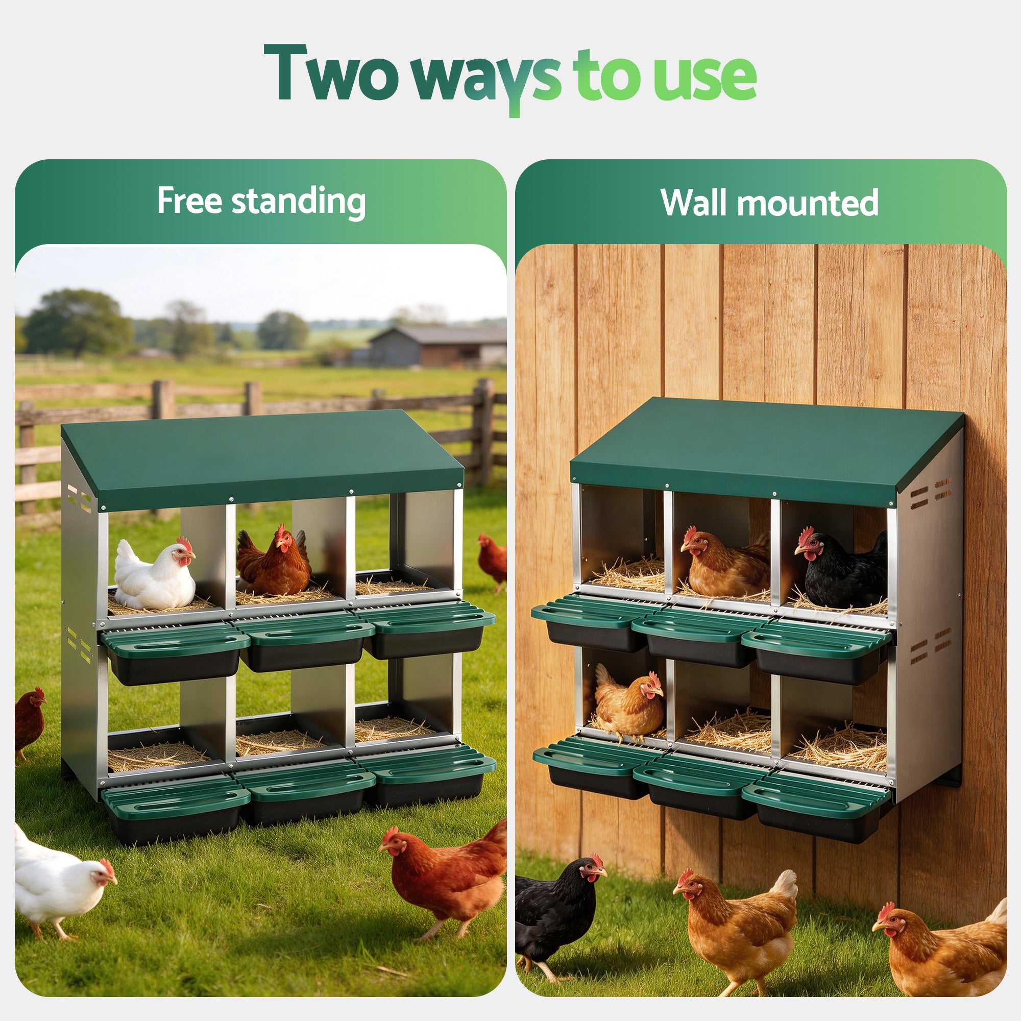i.Pet Chicken Nesting Box Roll Away Metal Nesting Box Wall Mounted 6 Holes Green PET-CHICK-BOX-6H-GN