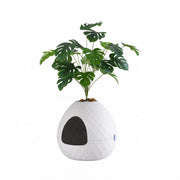 i.Pet Cat Litter Box Hidden Litter Tray Enclosure Planter Furniture House White