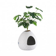 i.Pet Cat Litter Box Hidden Litter Tray Enclosure Planter Furniture House White