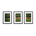 3 PCS Photo Frame Wall Set A3 Picture Home Decor Art Gift Present Black PFS-3F-A3-BK